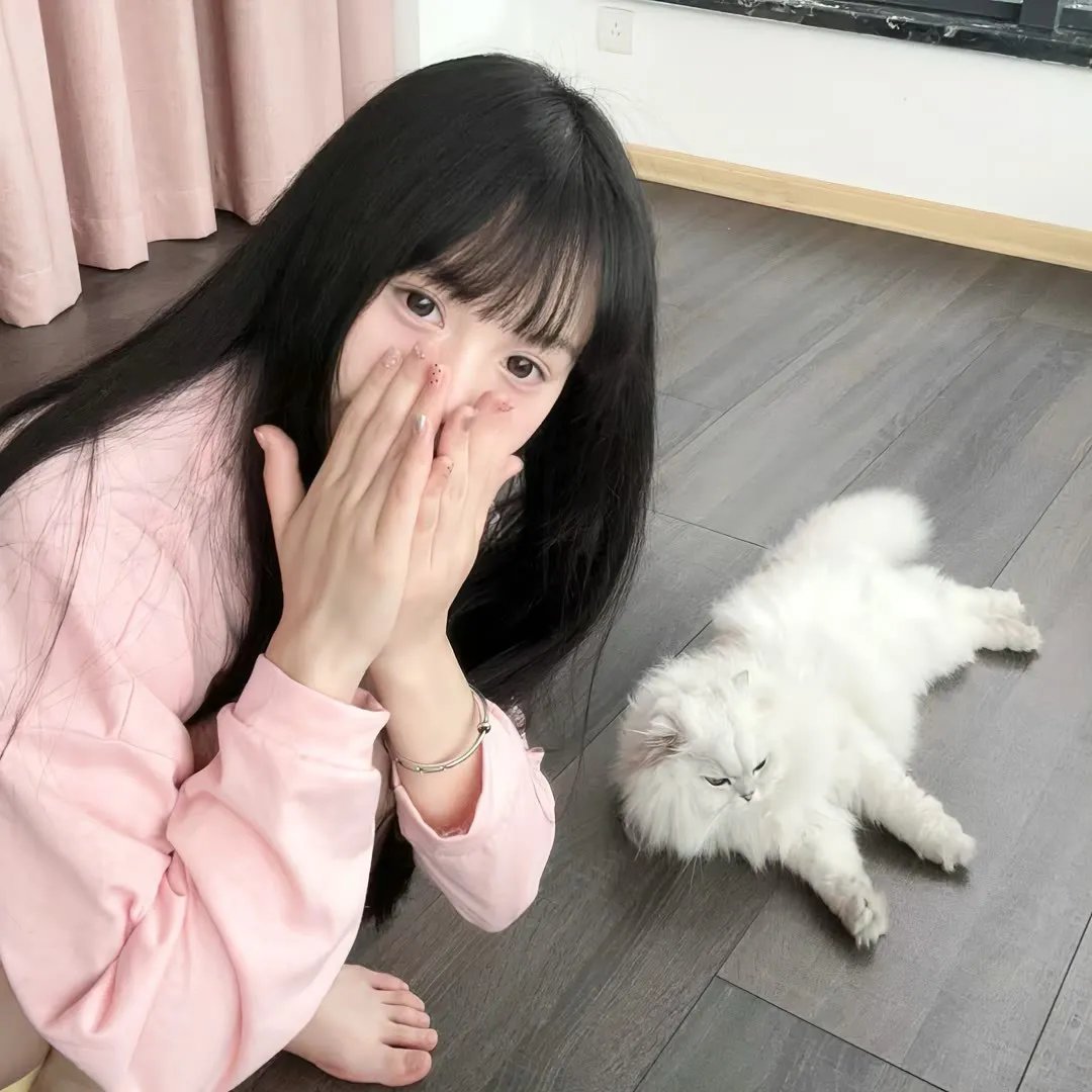 情歌恋曲